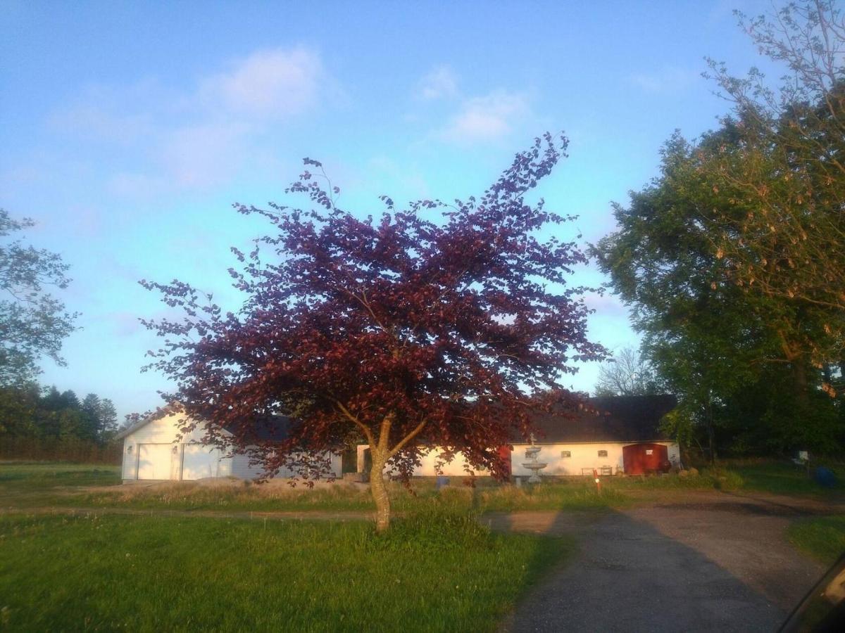 Lavendelbo B&B Hjallerup Buitenkant foto